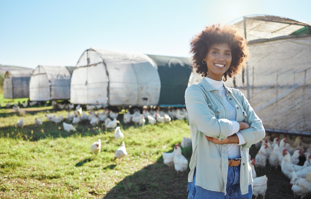 small business owner, chicken farmer